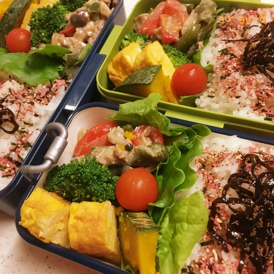 今日のお仕事&学校弁当♪2017.6.14|ぐぅさん