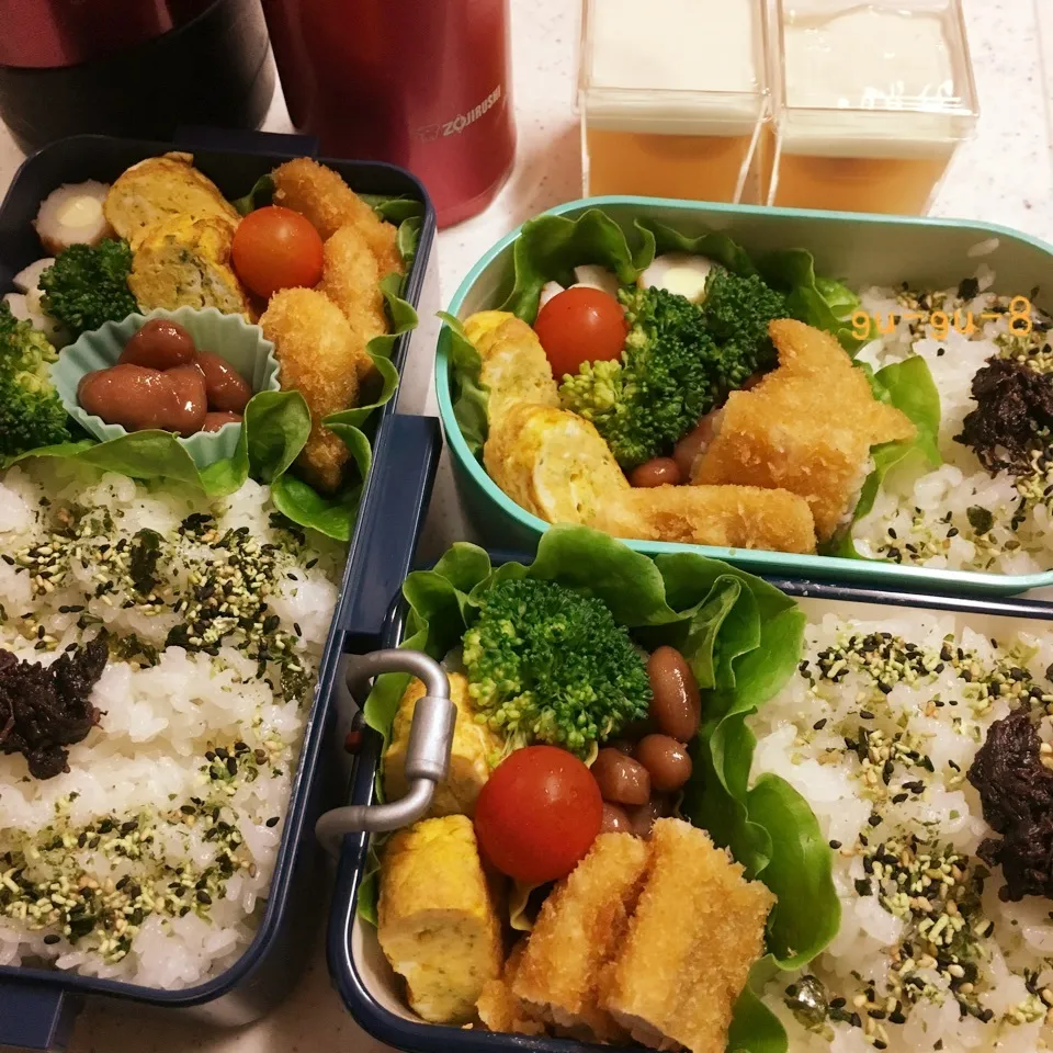 今日のお仕事&学校弁当♪2017.6.13|ぐぅさん