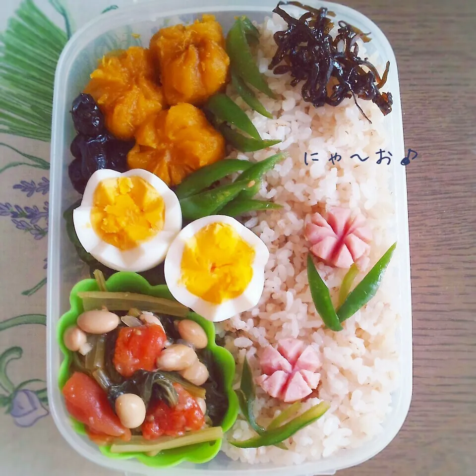 パパのお弁当(*^^*)|ニャーオさん