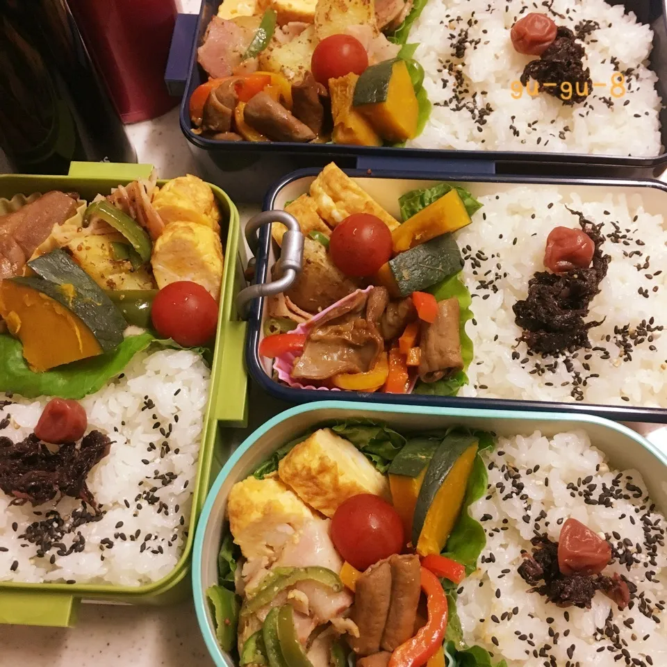 今日のお仕事&学校弁当♪2017.6.9|ぐぅさん