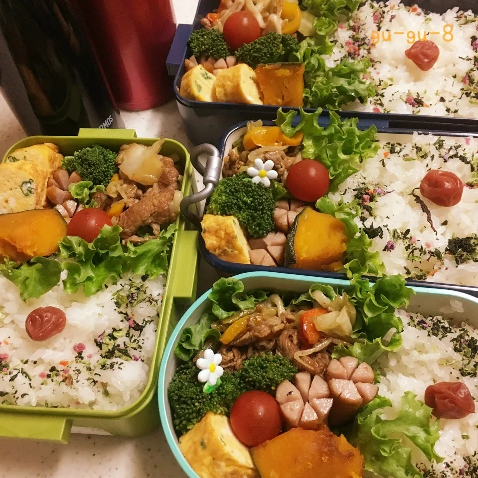 今日のお仕事&学校弁当♪2017.6.8|ぐぅさん