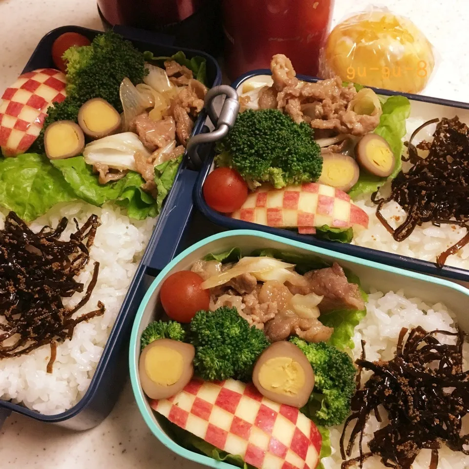 今日のお仕事&学校弁当♪2017.6.6|ぐぅさん