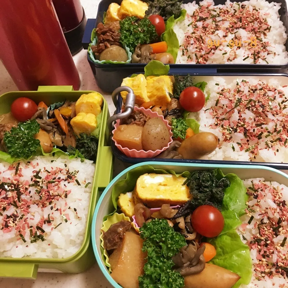 今日のお仕事&学校弁当♪2017.6.5|ぐぅさん