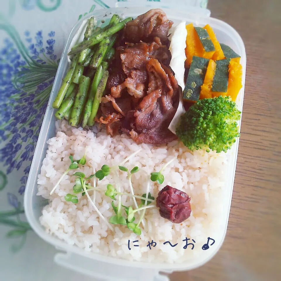 パパのお弁当(*^^*)|ニャーオさん