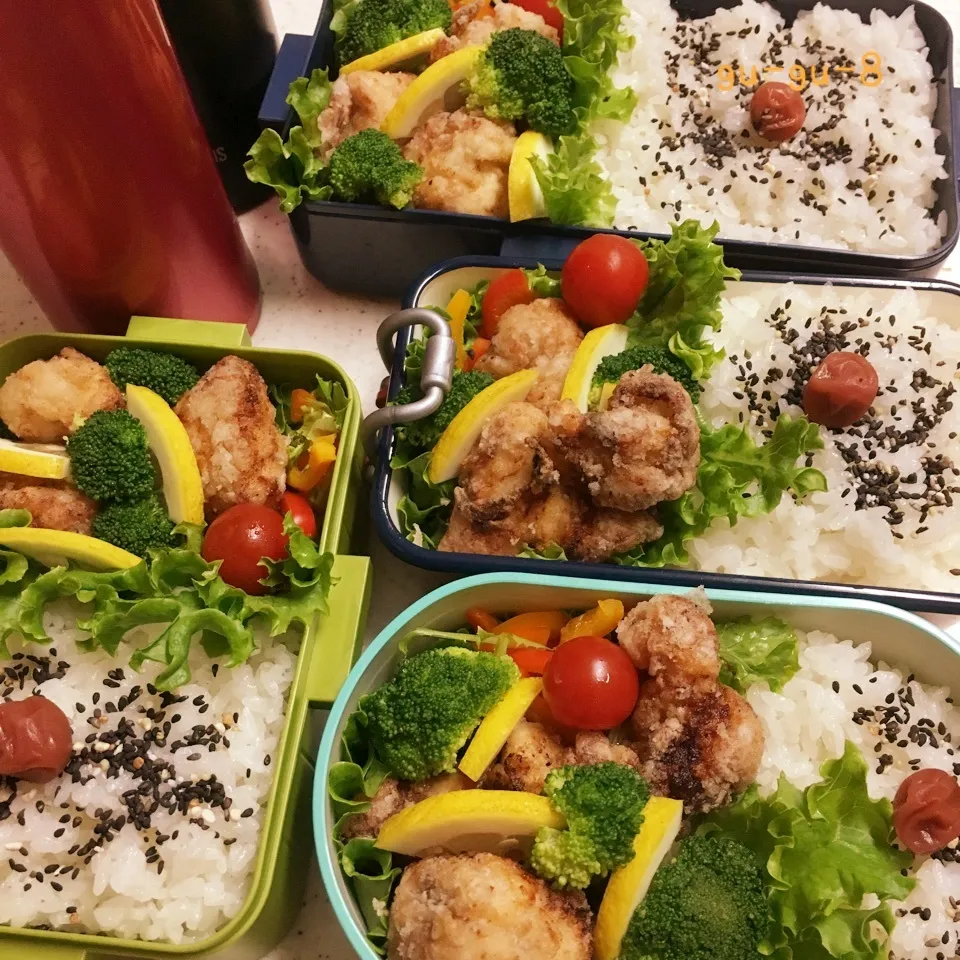 今日のお仕事&学校弁当♪2017.5.31|ぐぅさん