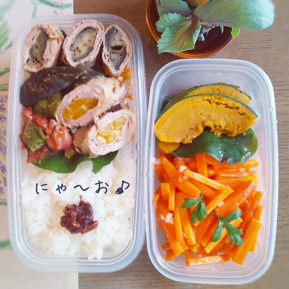 パパのお弁当(*^^*)|ニャーオさん