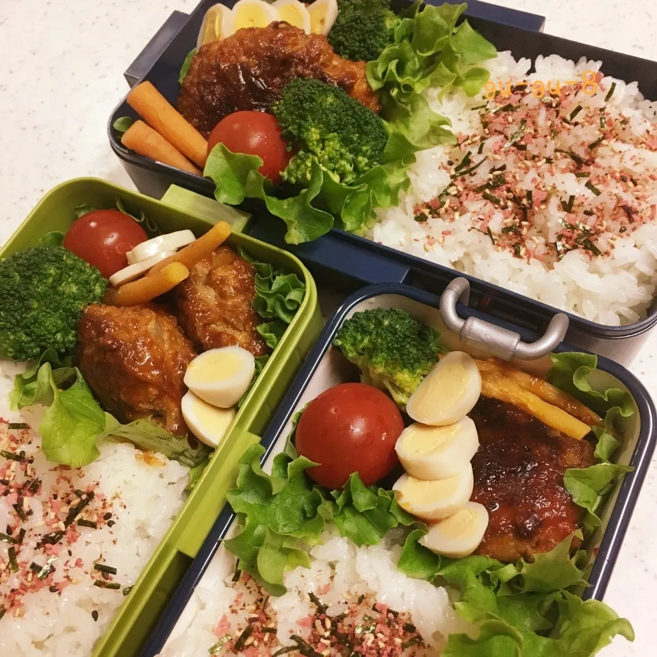 今日のお仕事&学校弁当♪2017.5.9|ぐぅさん