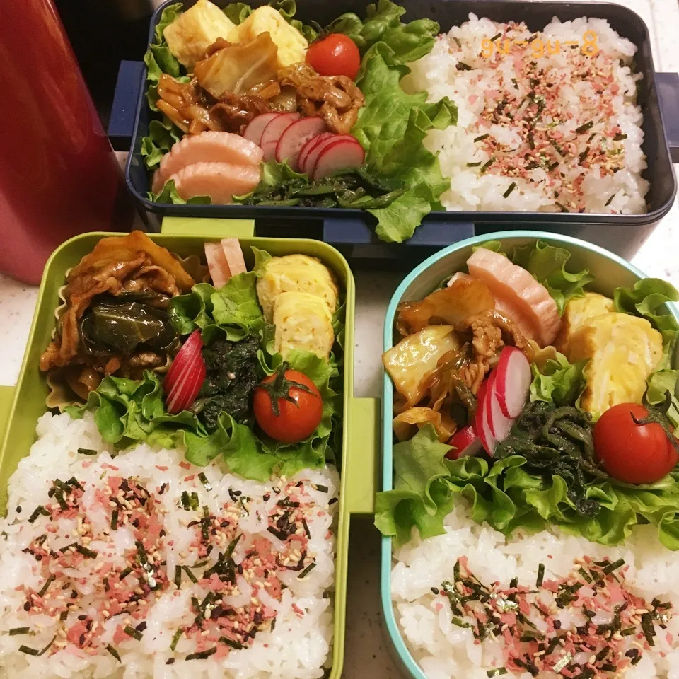 今日のお仕事&学校弁当♪2017.4.17|ぐぅさん