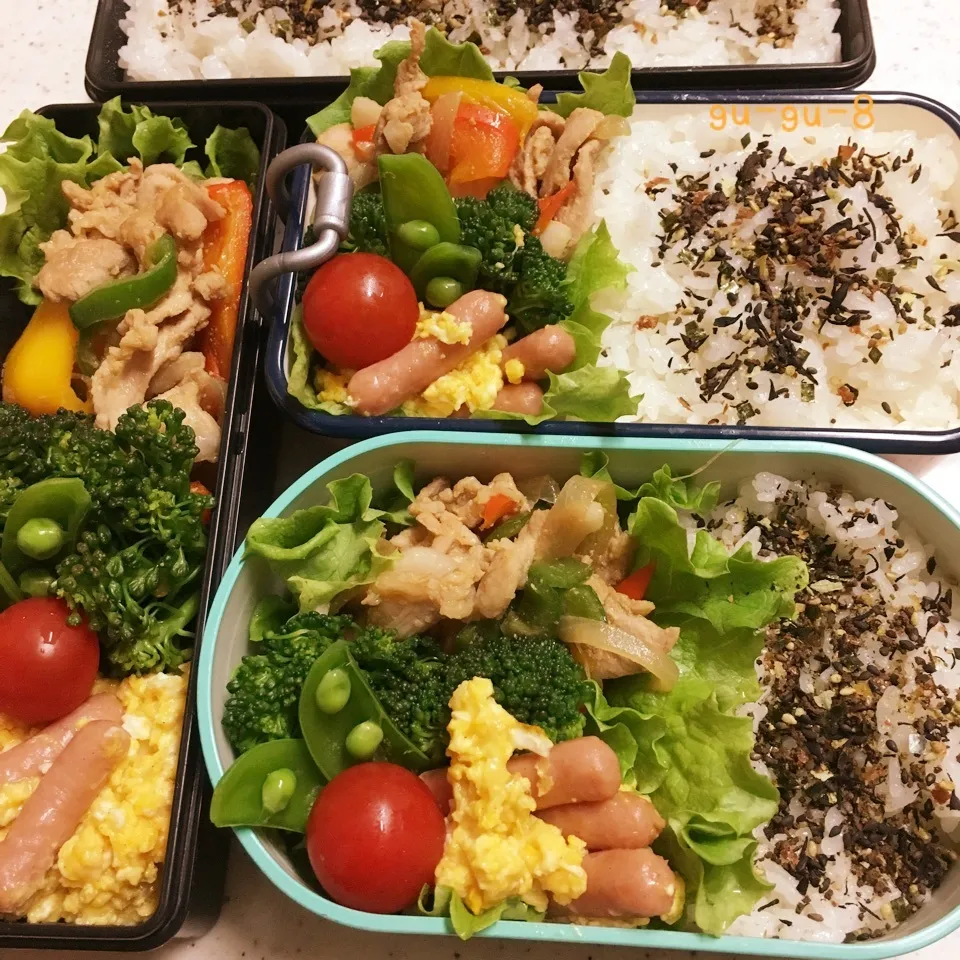 今日のお仕事&留守番弁当♪|ぐぅさん