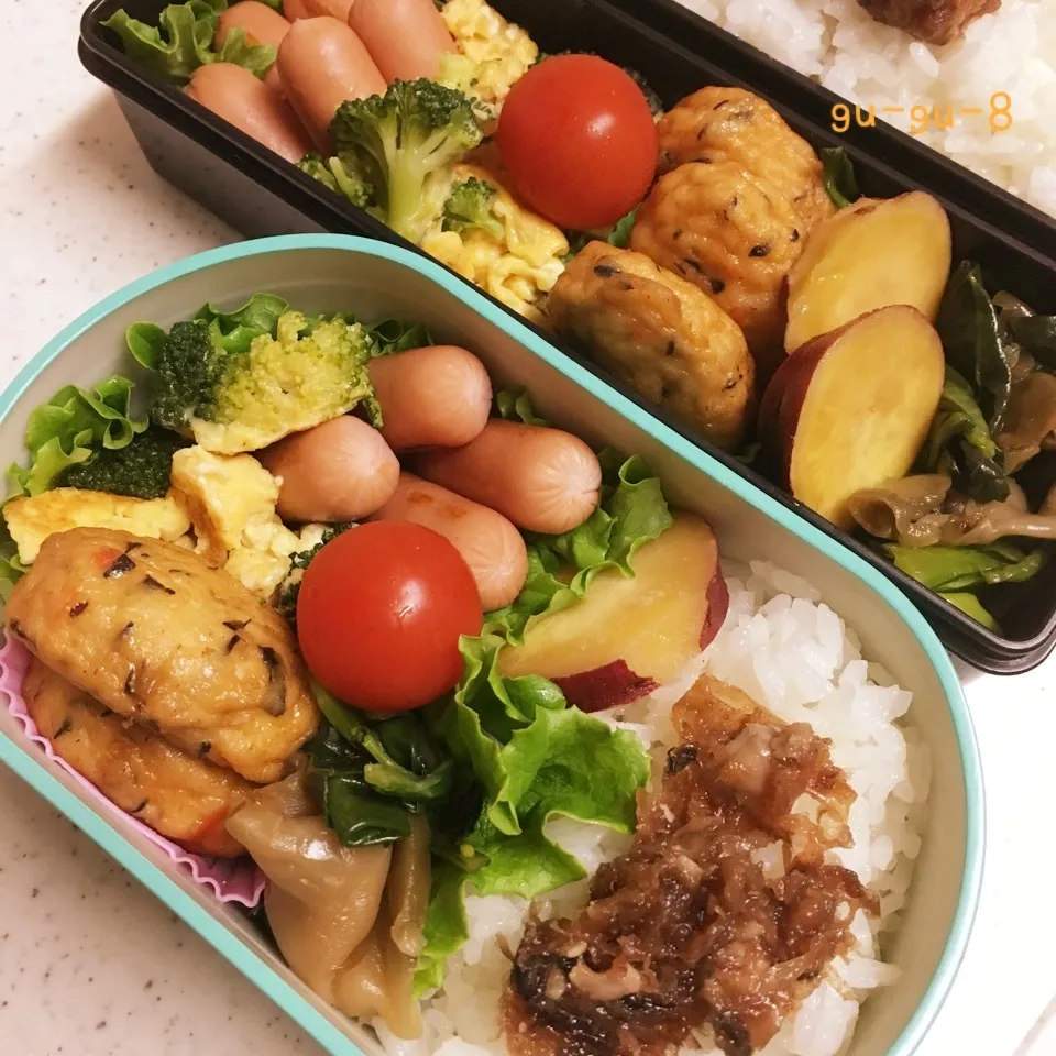 今日のお仕事&留守番弁当♪|ぐぅさん