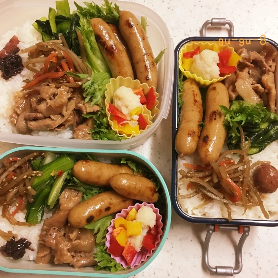 今日のお仕事&留守番弁当♪|ぐぅさん