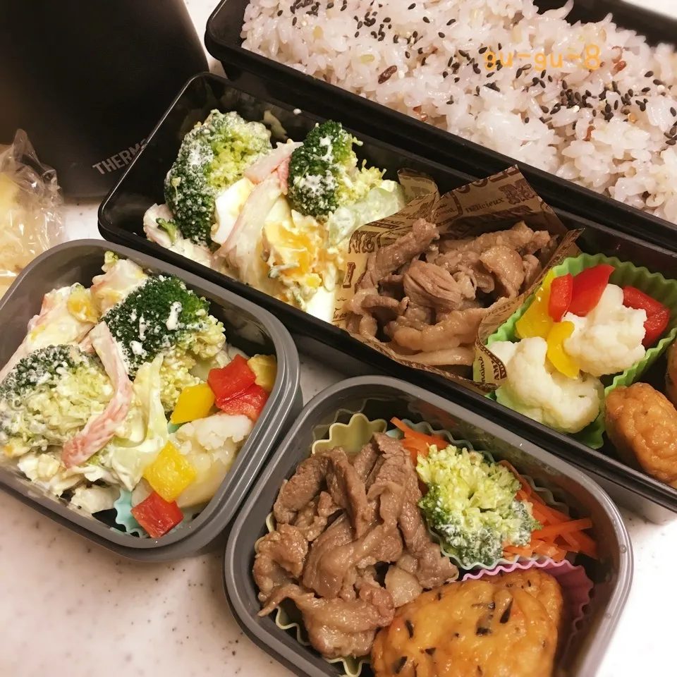 今日のお仕事弁当♪|ぐぅさん