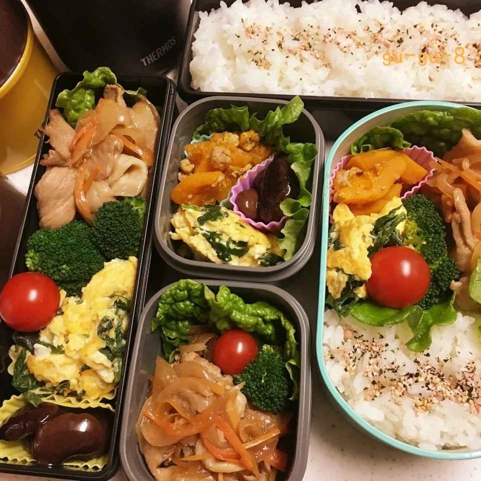 Snapdishの料理写真:今日のお仕事&学校弁当♪|ぐぅさん