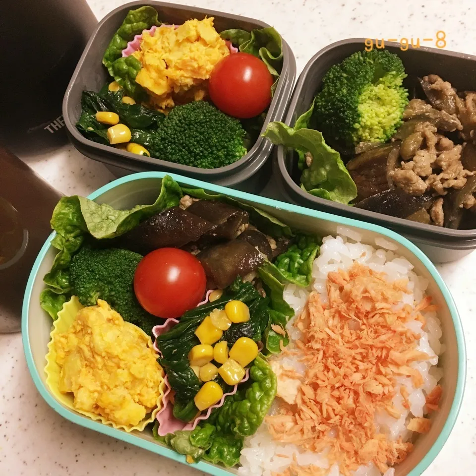 今日のお仕事&学校弁当♪|ぐぅさん