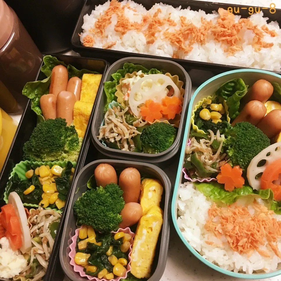 今日のお仕事&学校弁当♪|ぐぅさん