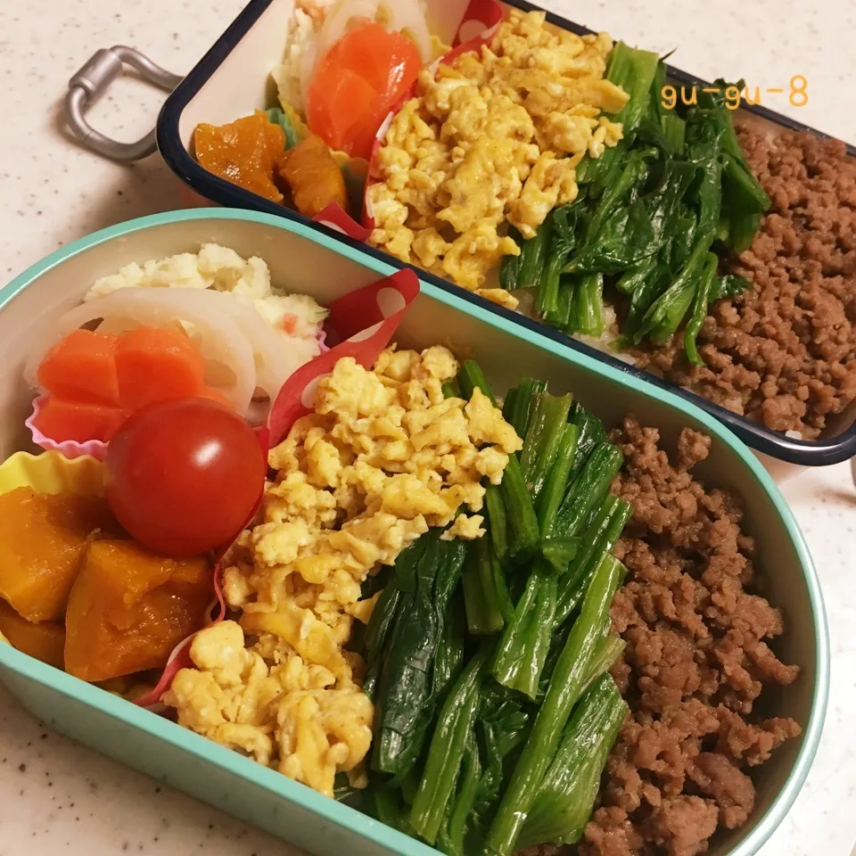 今日のお仕事&学校弁当♪|ぐぅさん