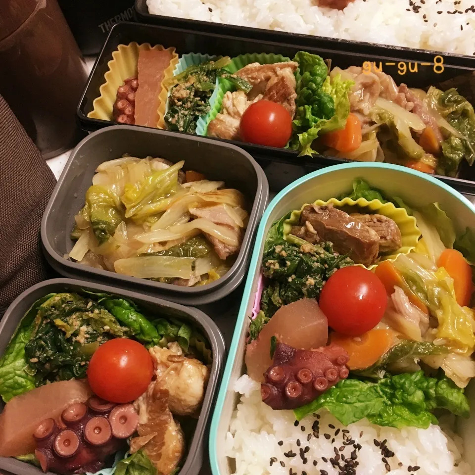 今日のお仕事&留守番弁当♪|ぐぅさん