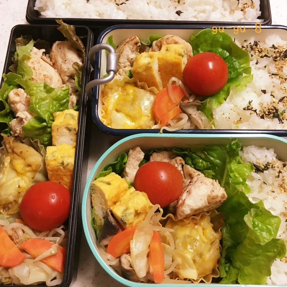 今日のお仕事&学校弁当♪|ぐぅさん