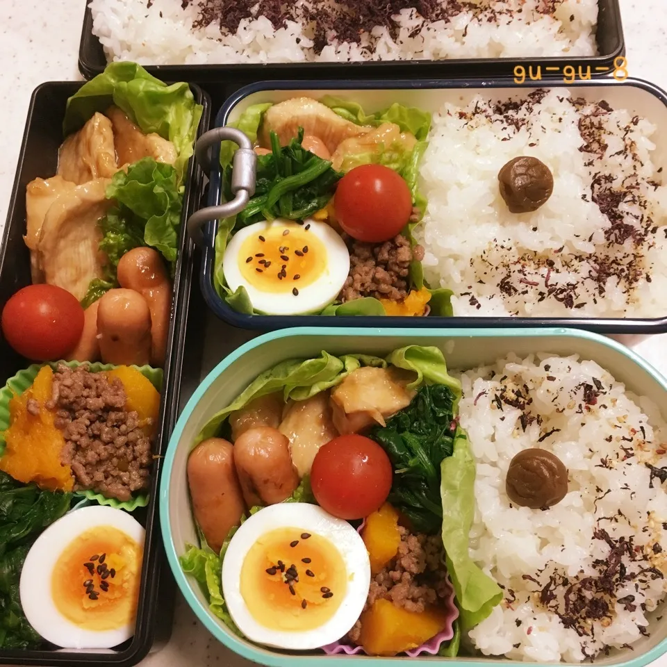 今日のお仕事&学校弁当♪|ぐぅさん