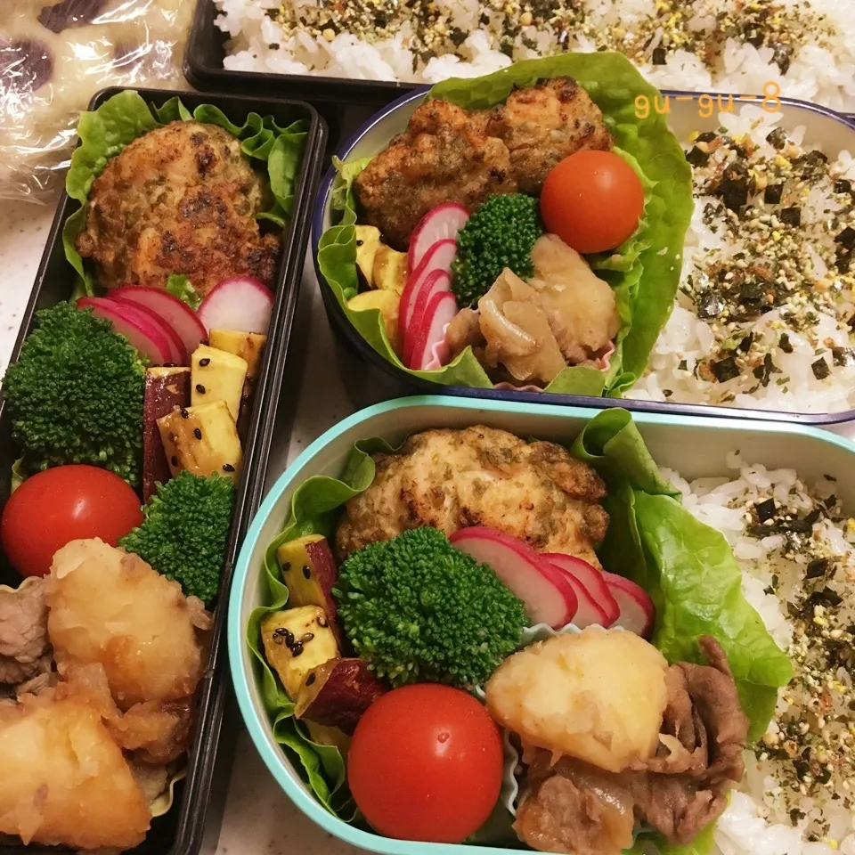 今日のお仕事&学校弁当♪|ぐぅさん