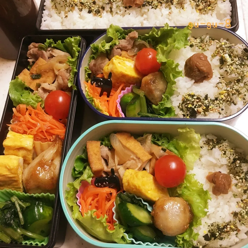 今日のお仕事&学校弁当♪|ぐぅさん