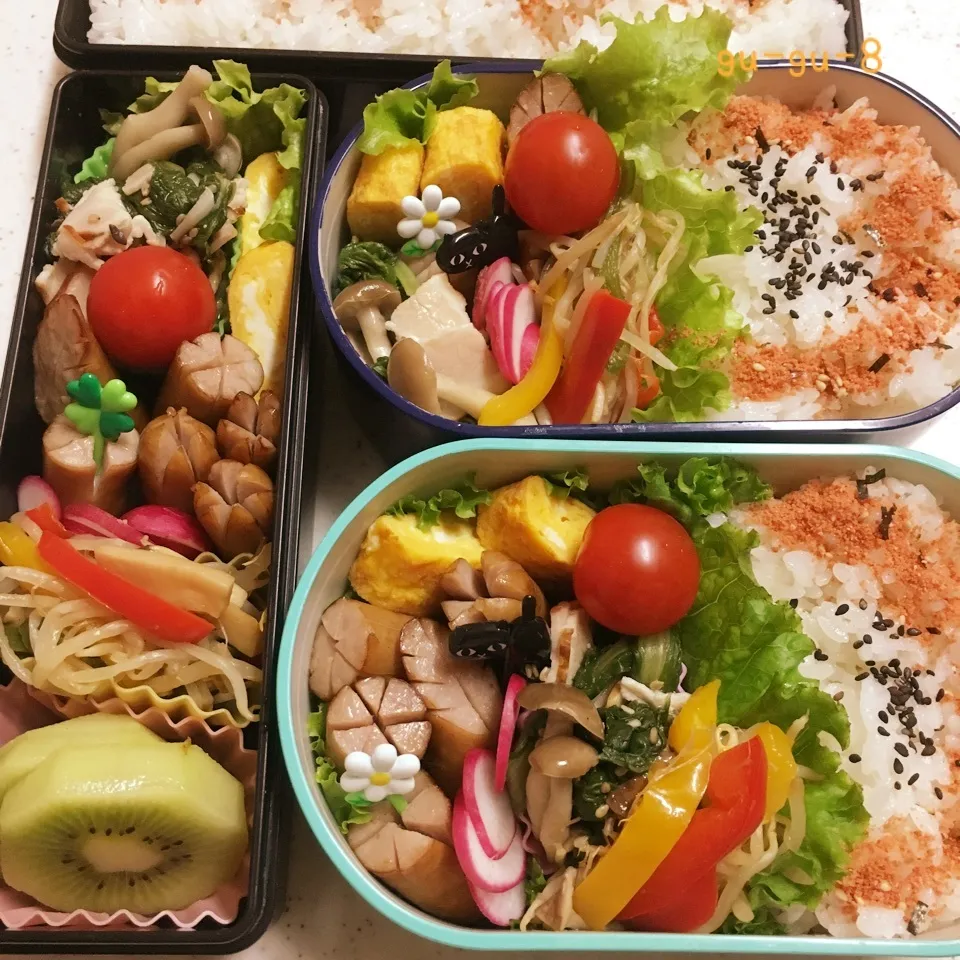 今日のお仕事&学校弁当♪|ぐぅさん