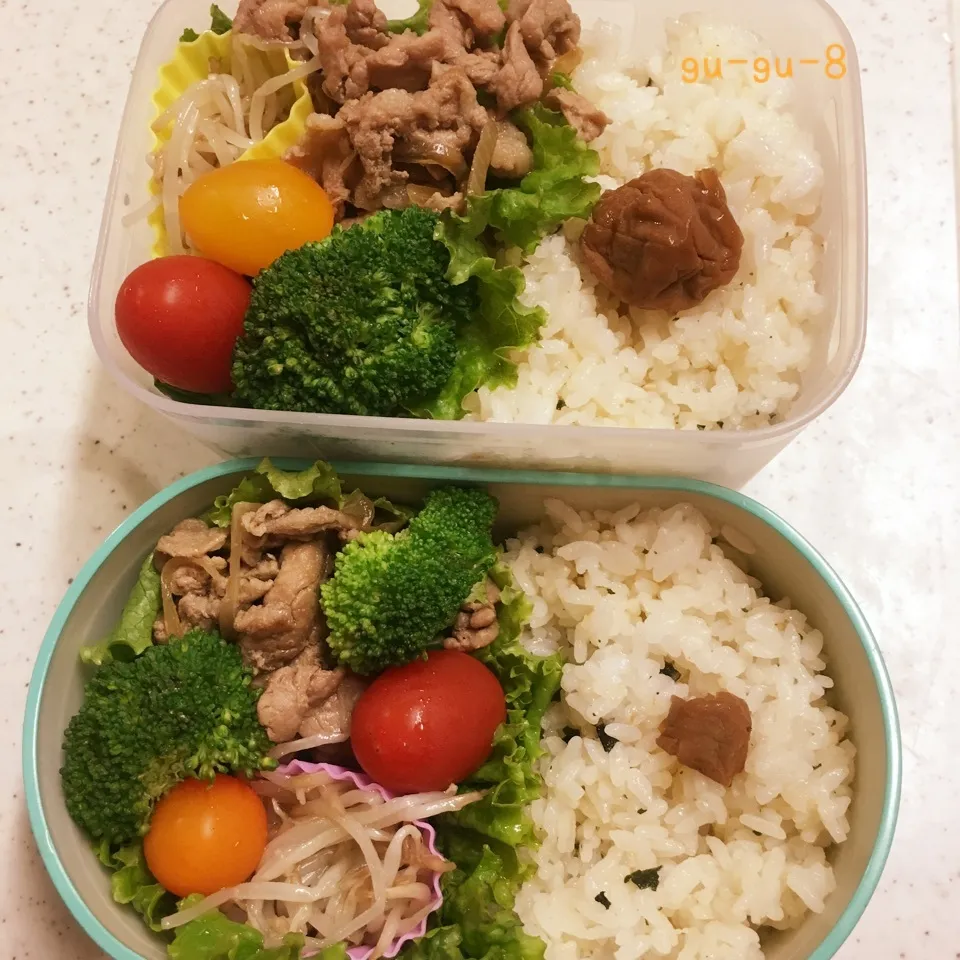 今日のお仕事&学校弁当♪|ぐぅさん