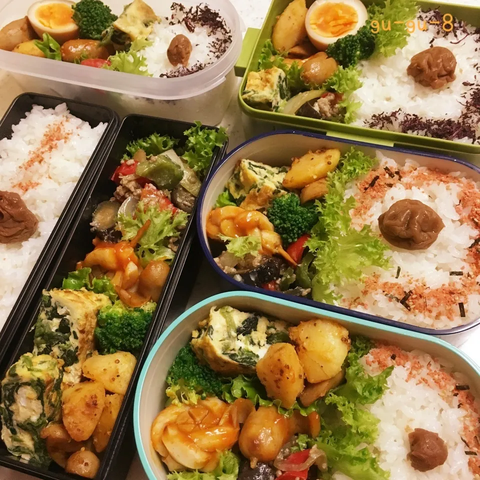 Snapdishの料理写真:今日のお仕事&学校&塾弁当♪|ぐぅさん