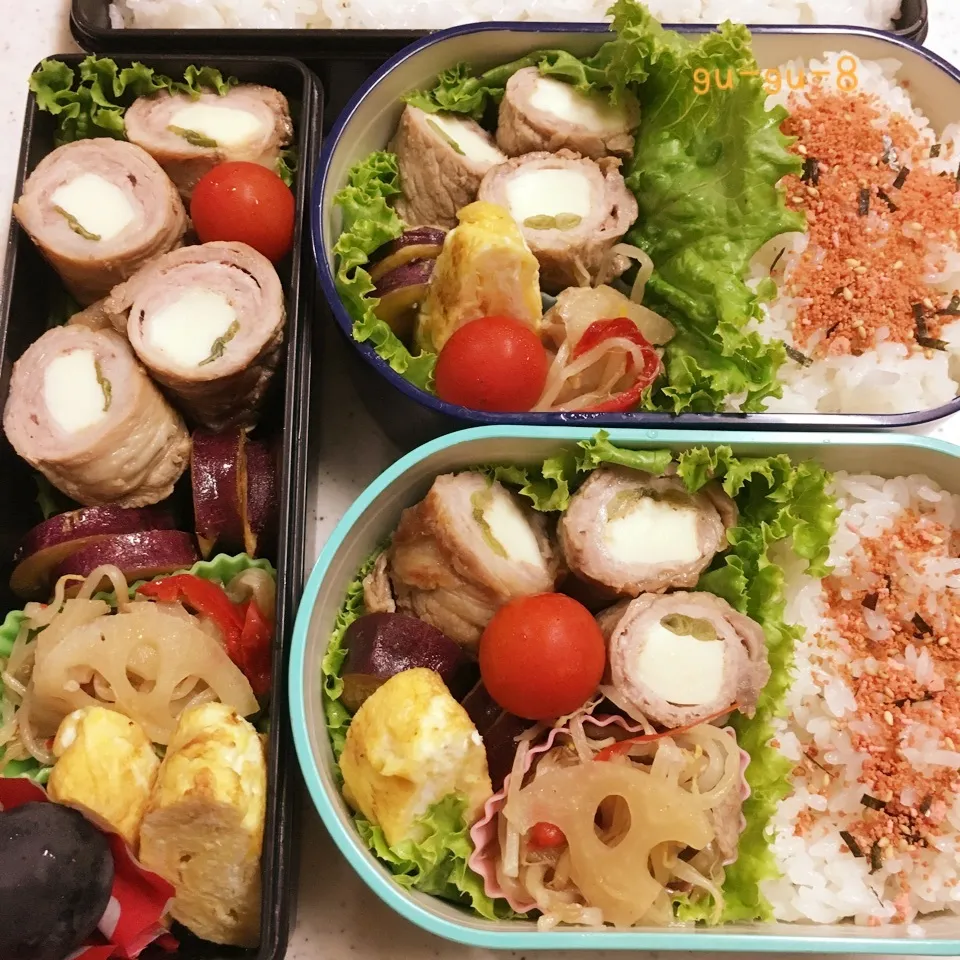 今日のお仕事&学校弁当♪|ぐぅさん