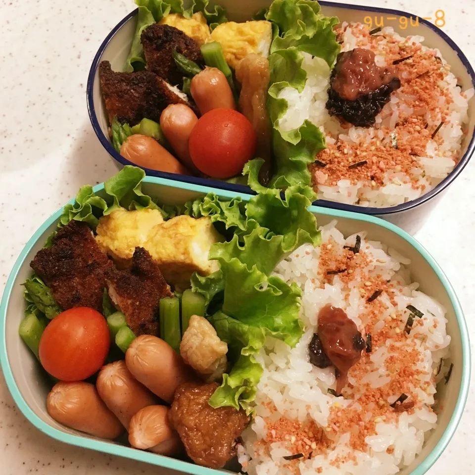 今日のお仕事&学校弁当♪|ぐぅさん