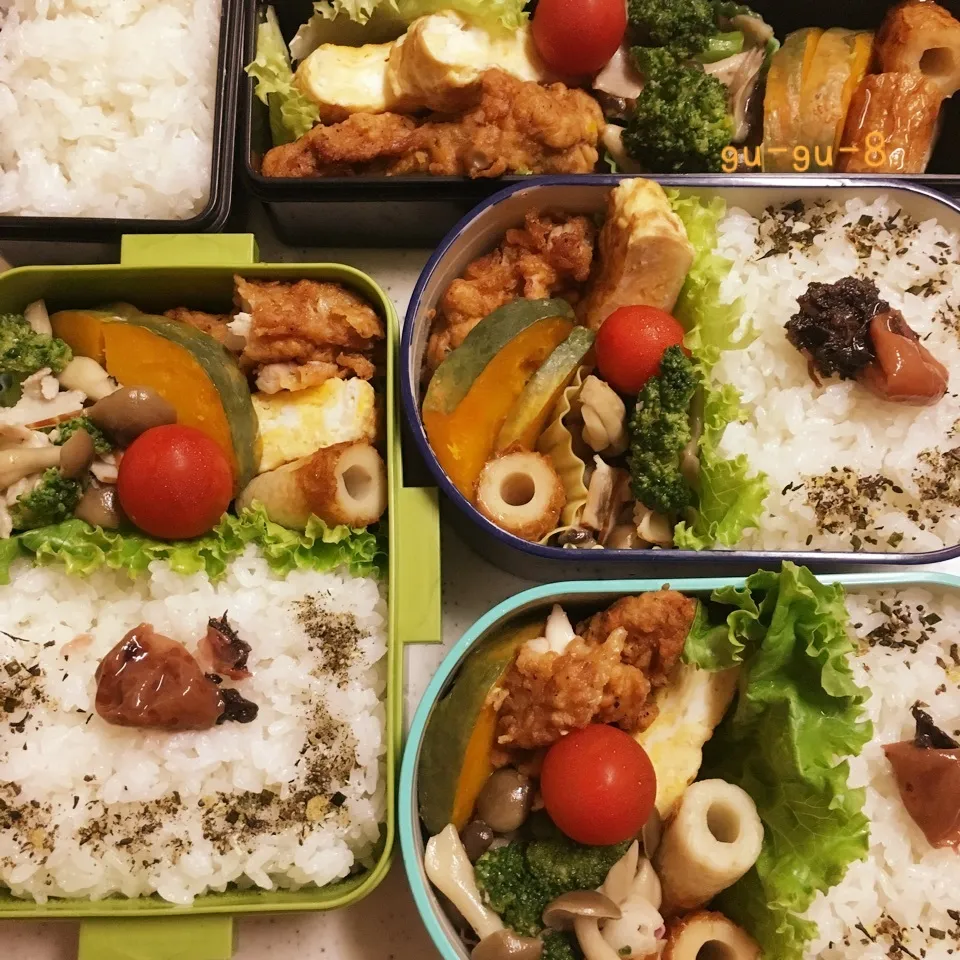 今日のお仕事&留守番弁当♪|ぐぅさん