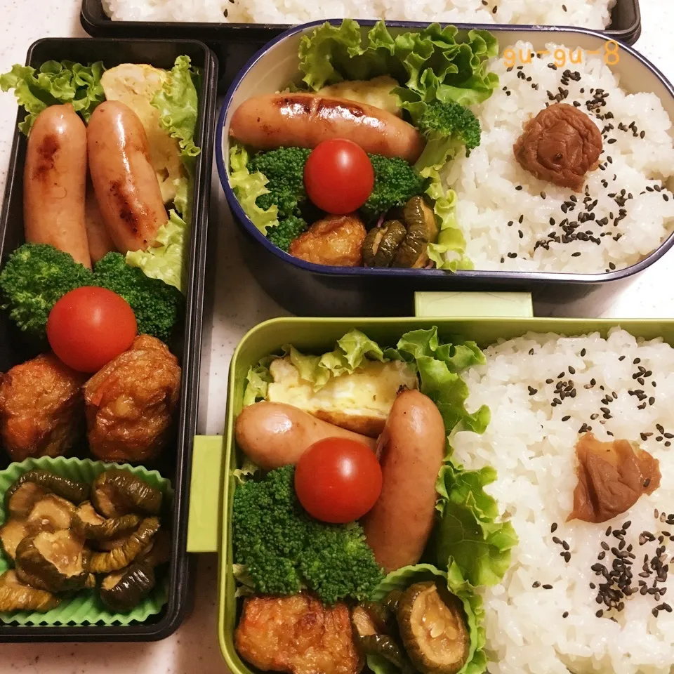 今日のお仕事&留守番弁当♪|ぐぅさん