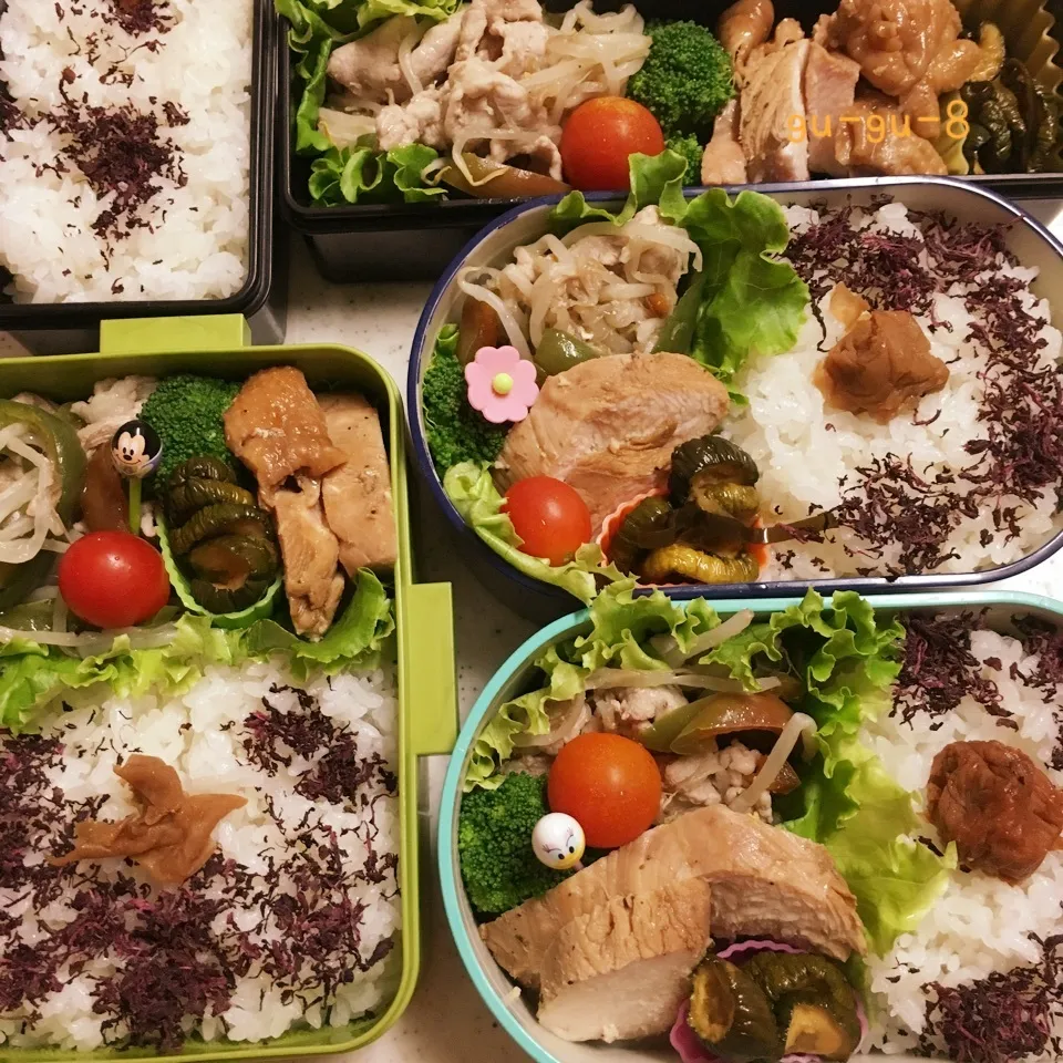 Snapdishの料理写真:今日のお仕事&留守番弁当♪|ぐぅさん