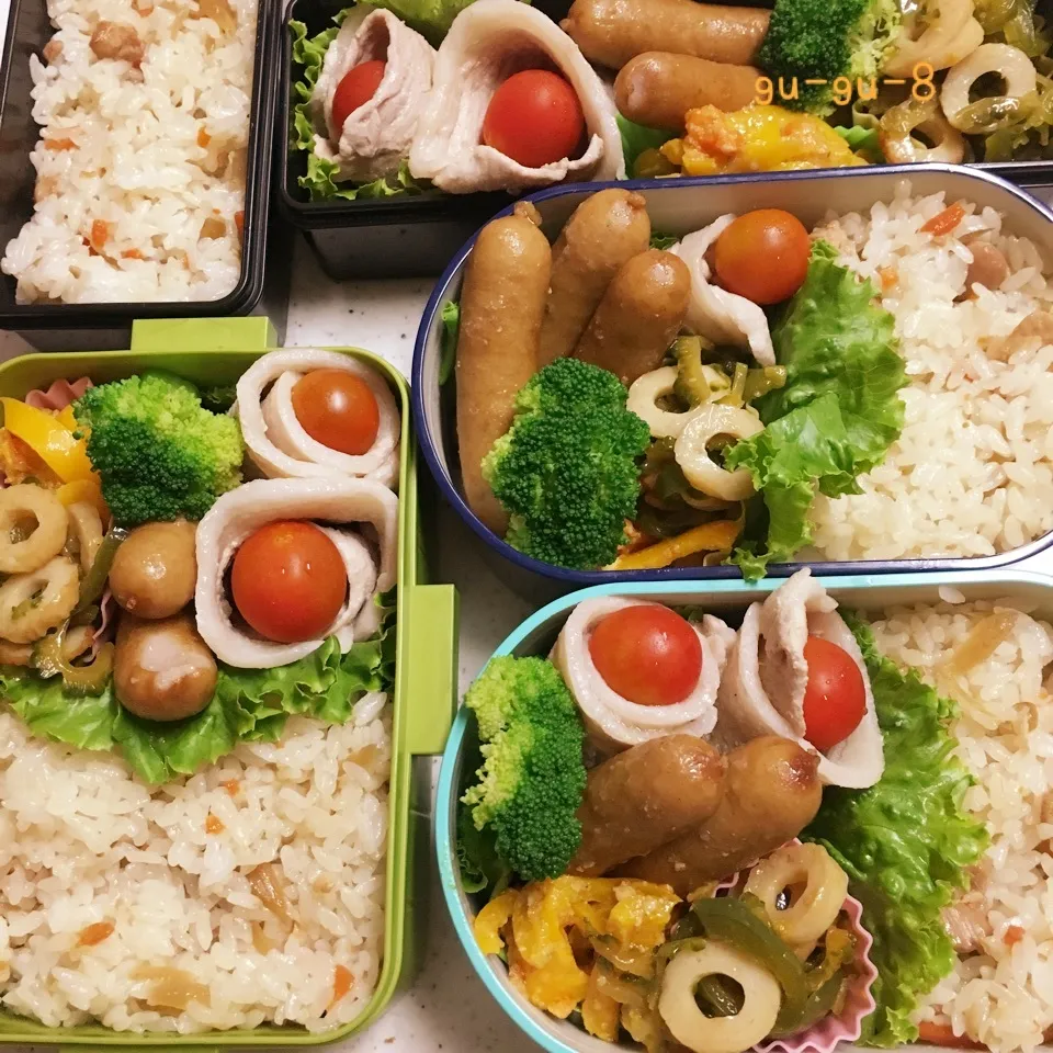 今日のお仕事&留守番弁当♪|ぐぅさん