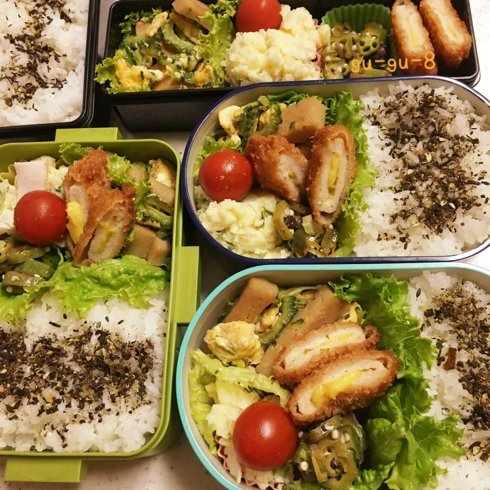 今日のお仕事&留守番弁当♪|ぐぅさん