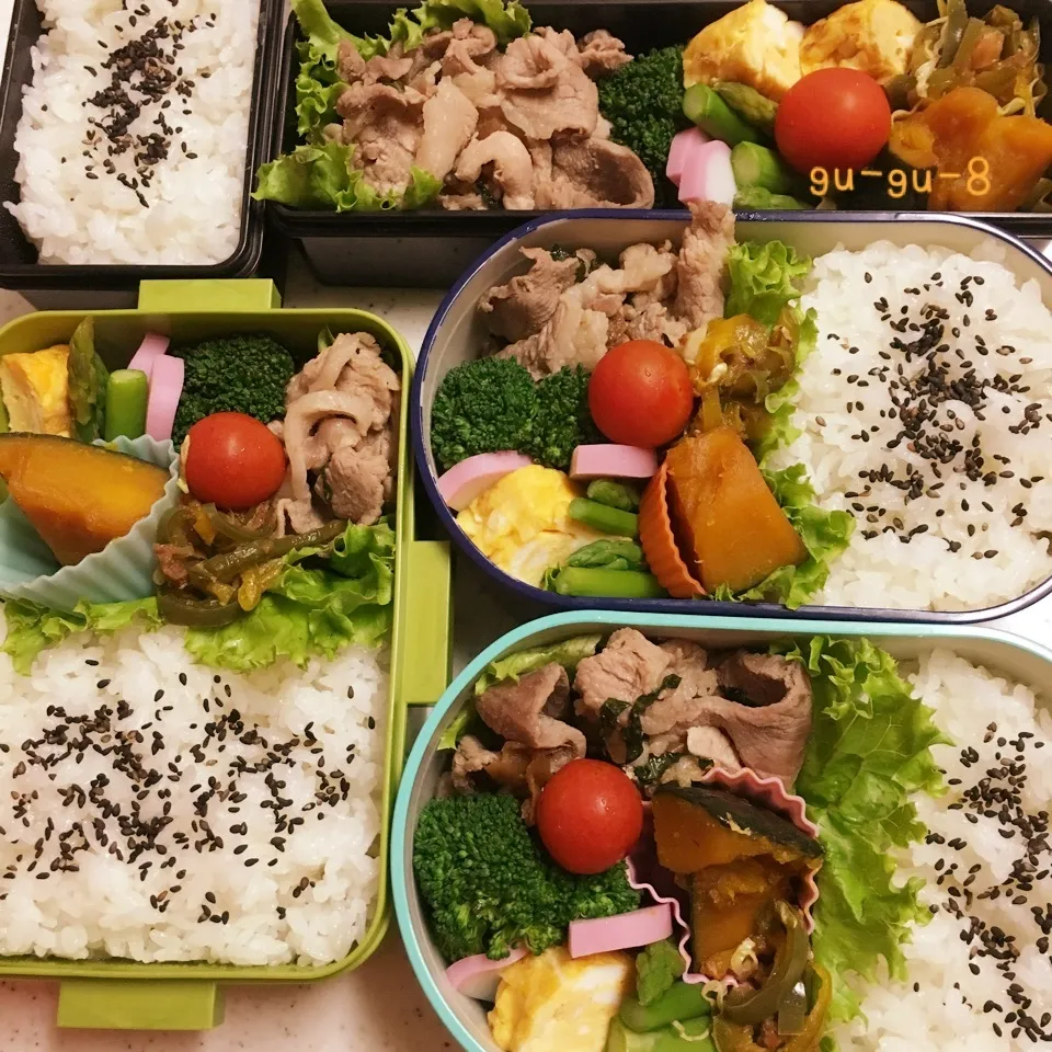 今日のお仕事&学校弁当♪|ぐぅさん