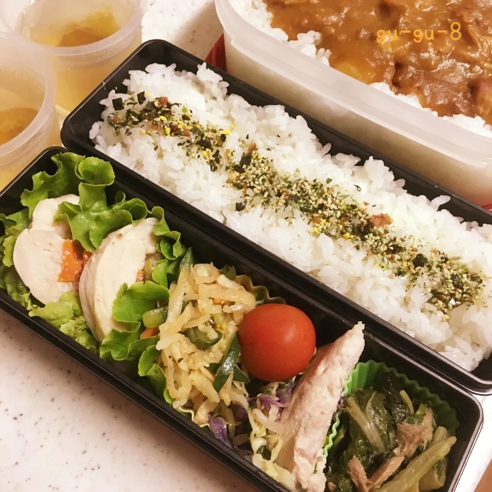 今日のお仕事&留守番弁当♪|ぐぅさん