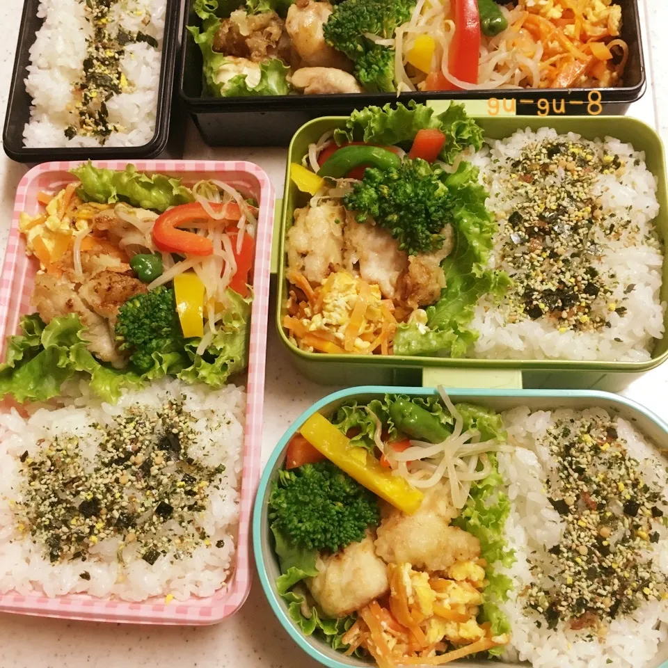 今日のお仕事&留守番弁当♪|ぐぅさん