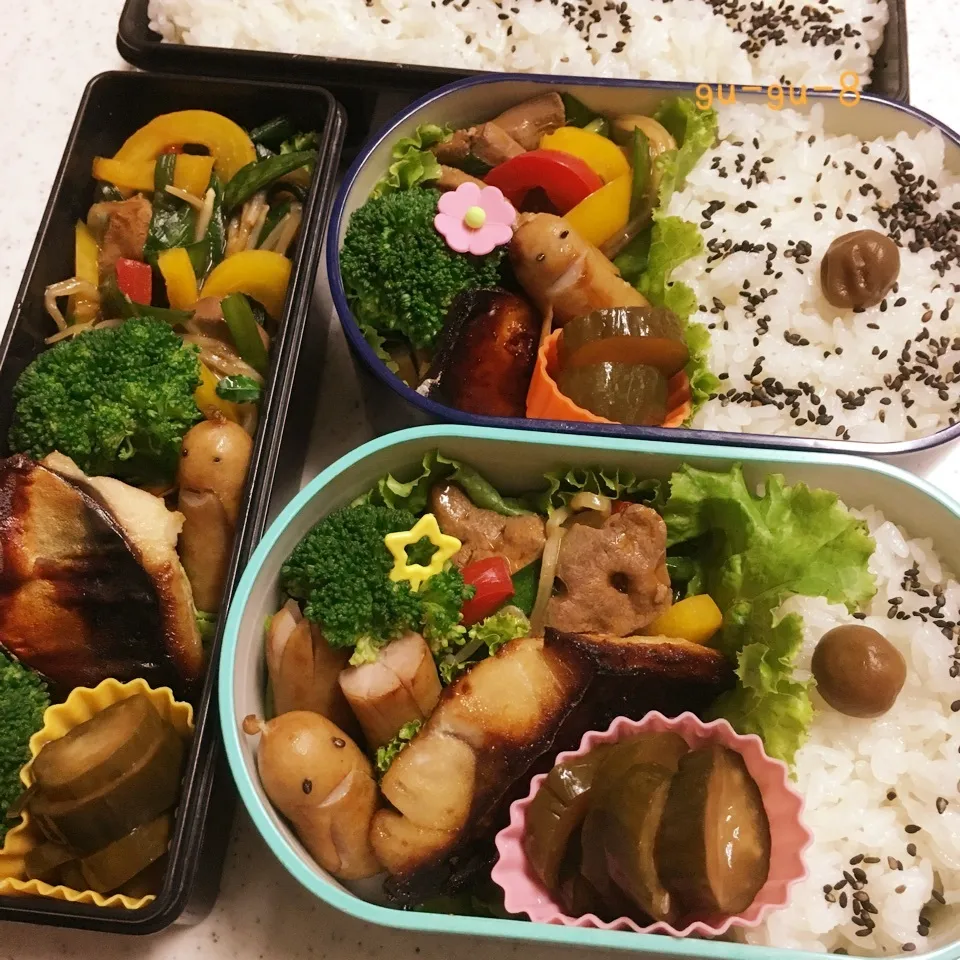 今日のお仕事＆学校弁当♪|ぐぅさん