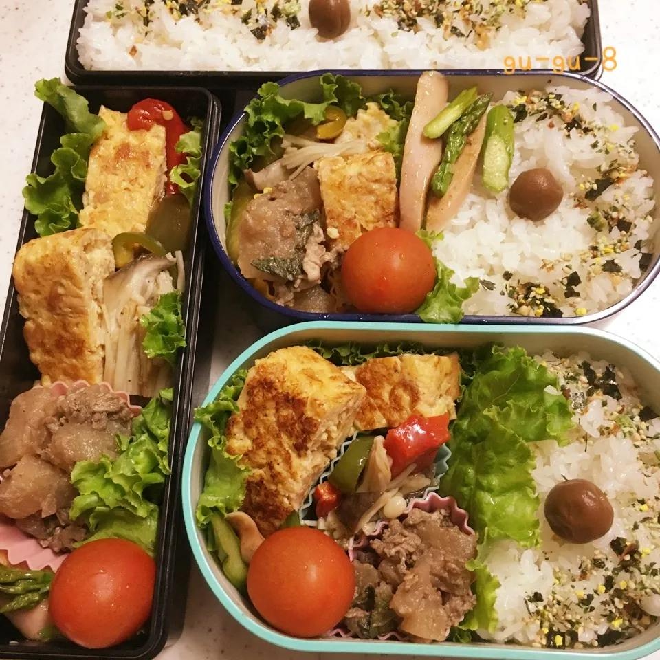 今日のお仕事＆学校弁当♪|ぐぅさん