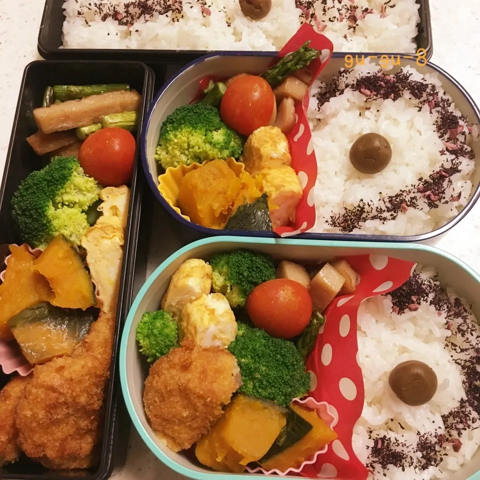 今日のお仕事＆学校弁当♪|ぐぅさん