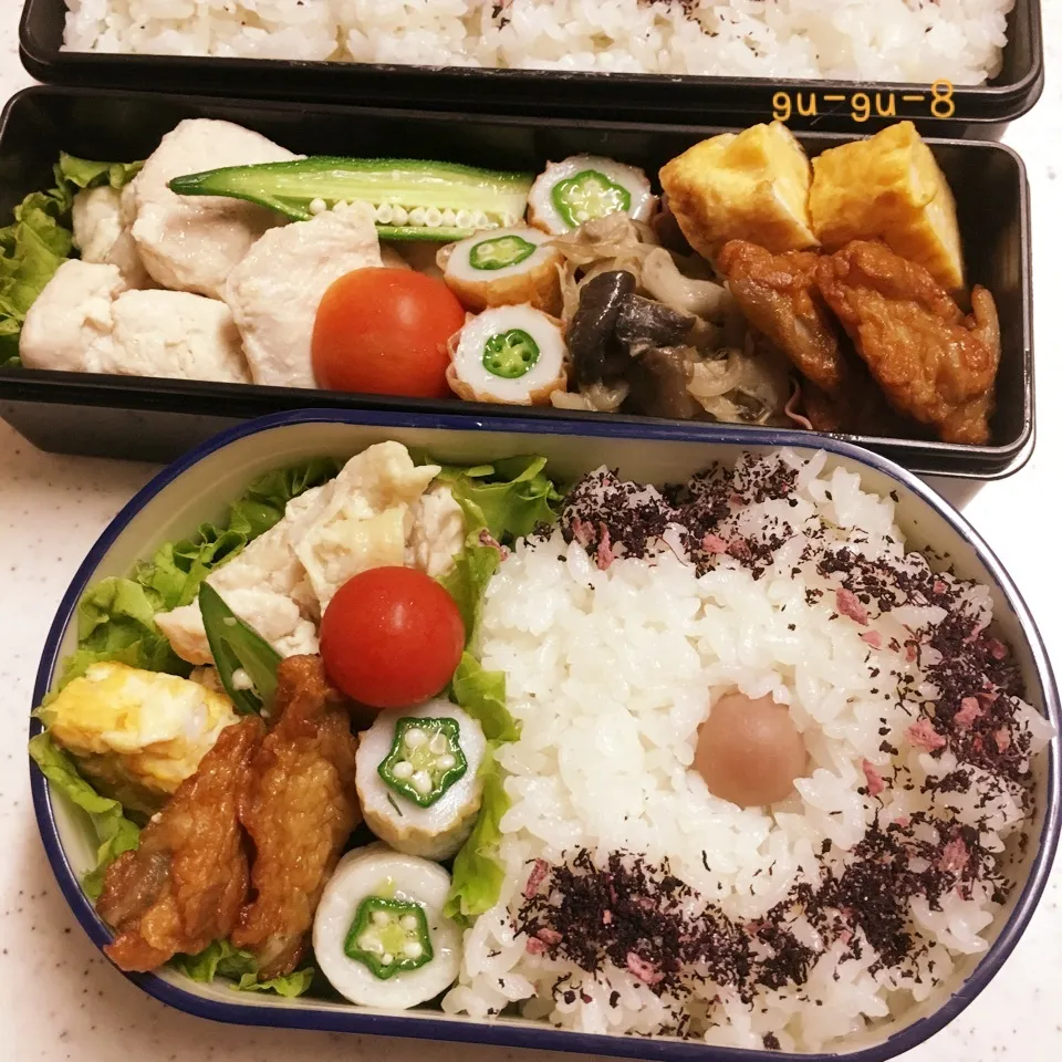 今日のお仕事弁当♪|ぐぅさん