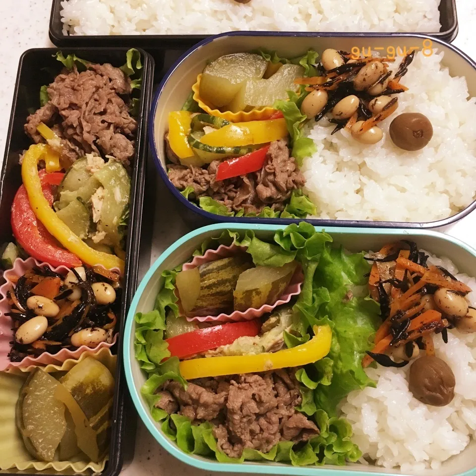 今日のお仕事＆学校弁当♪|ぐぅさん