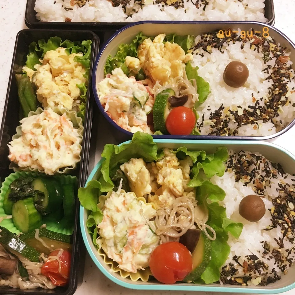 今日のお仕事＆学校弁当♪|ぐぅさん