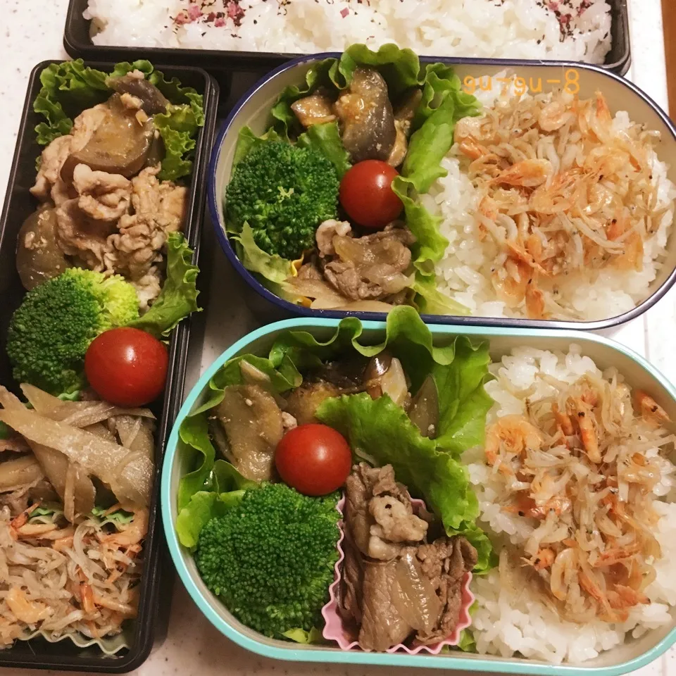 今日のお仕事＆学校弁当♪|ぐぅさん