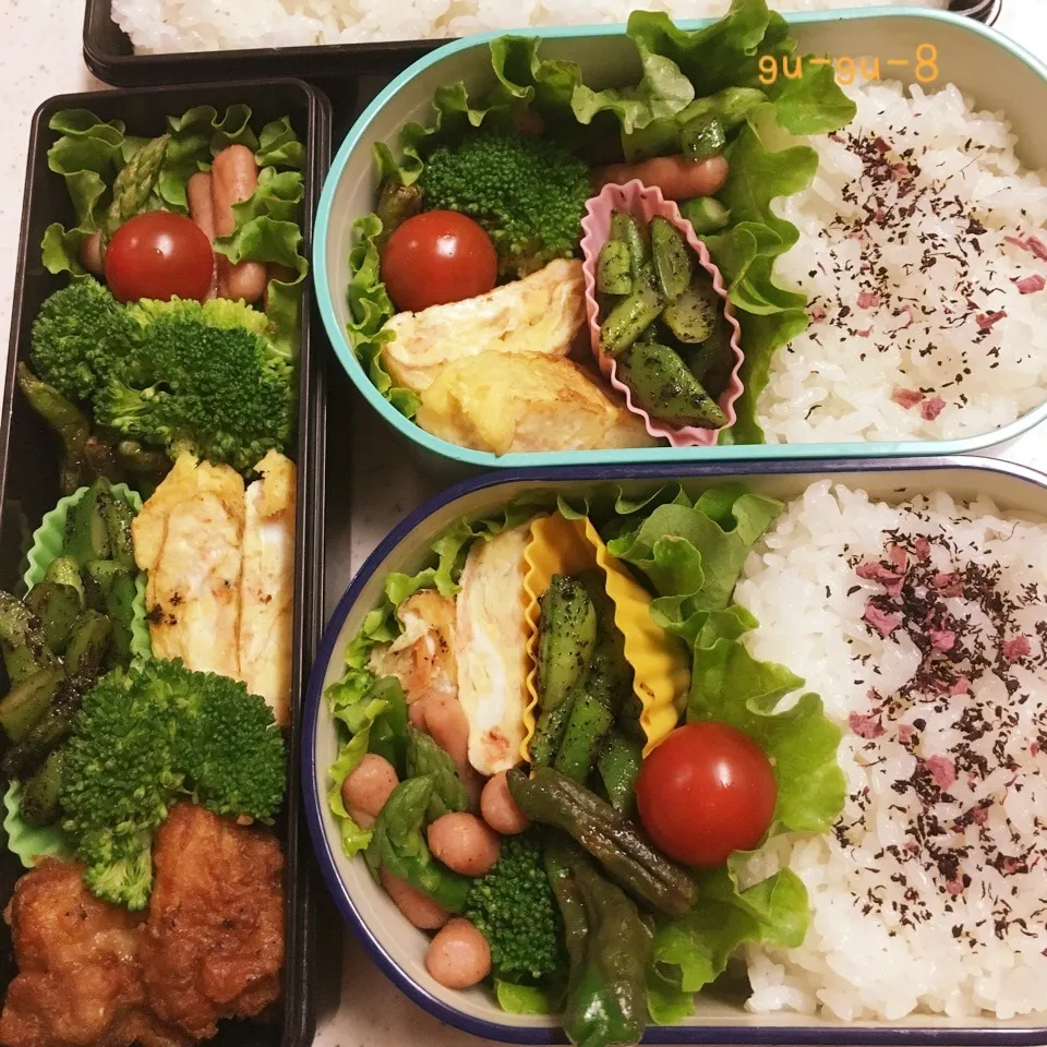 今日のお仕事＆学校弁当♪|ぐぅさん