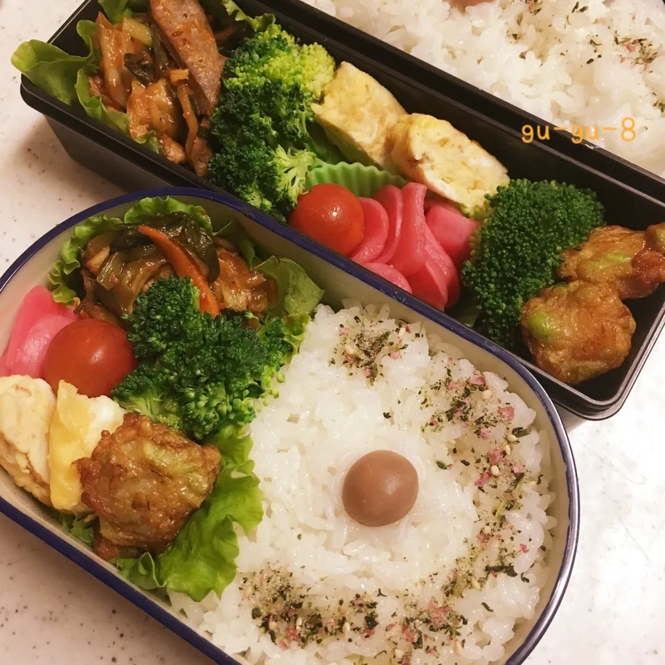 今日のお仕事弁当♪|ぐぅさん