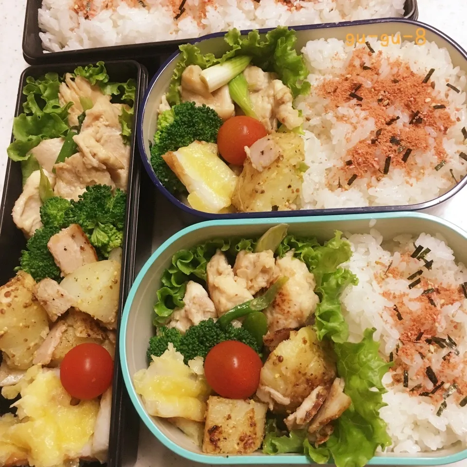 今日のお仕事＆学校弁当♪|ぐぅさん