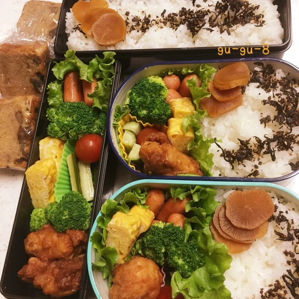 今日のお仕事＆留守番弁当♪|ぐぅさん