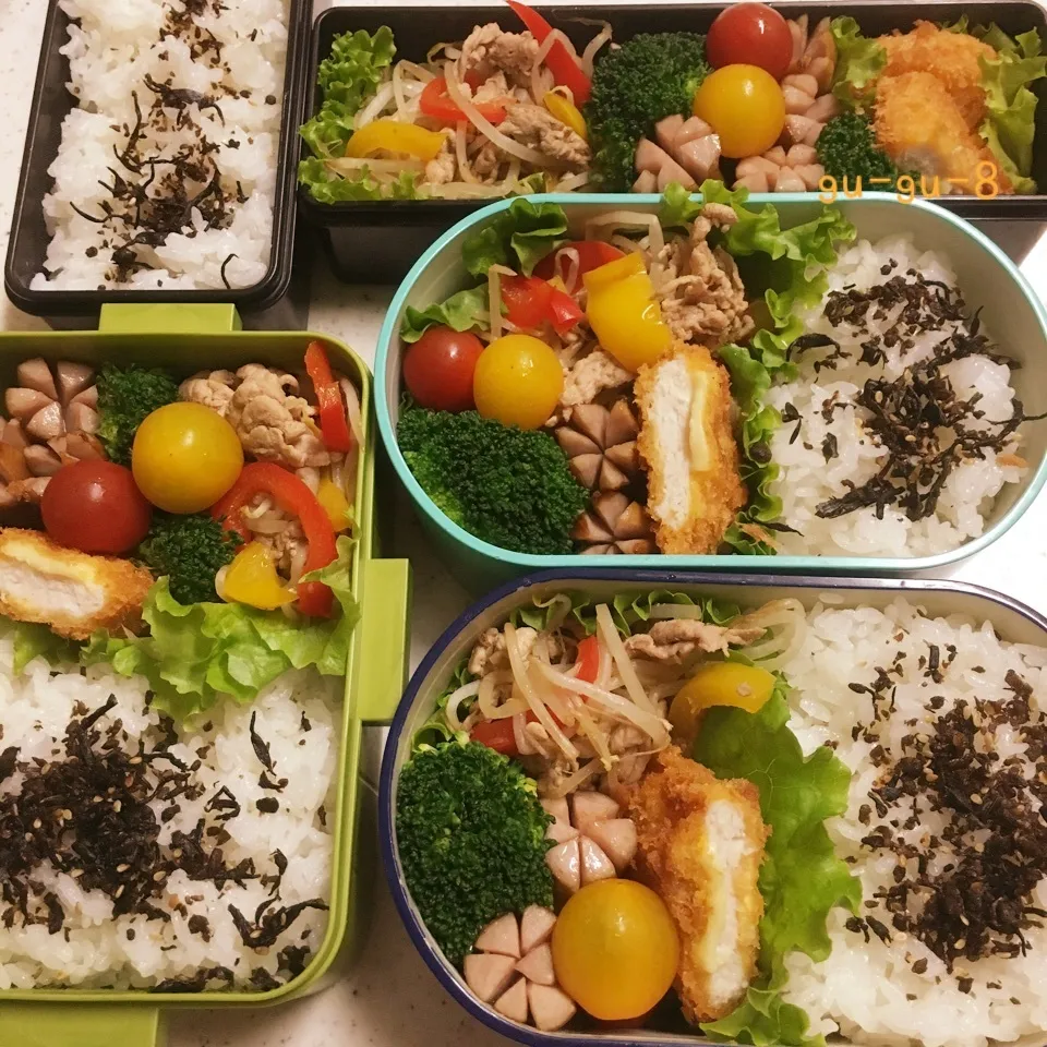 今日のお仕事&学校&留守番弁当♪|ぐぅさん